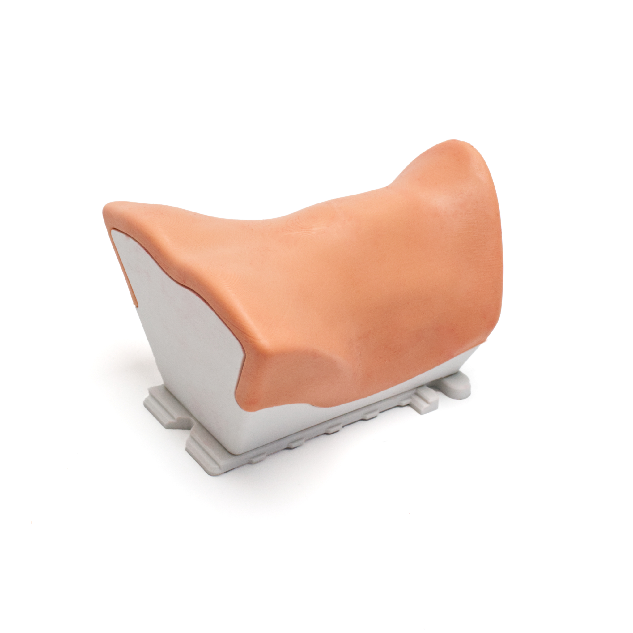 RealSpine Cervical Anterior training cartridge on the RealSpine base