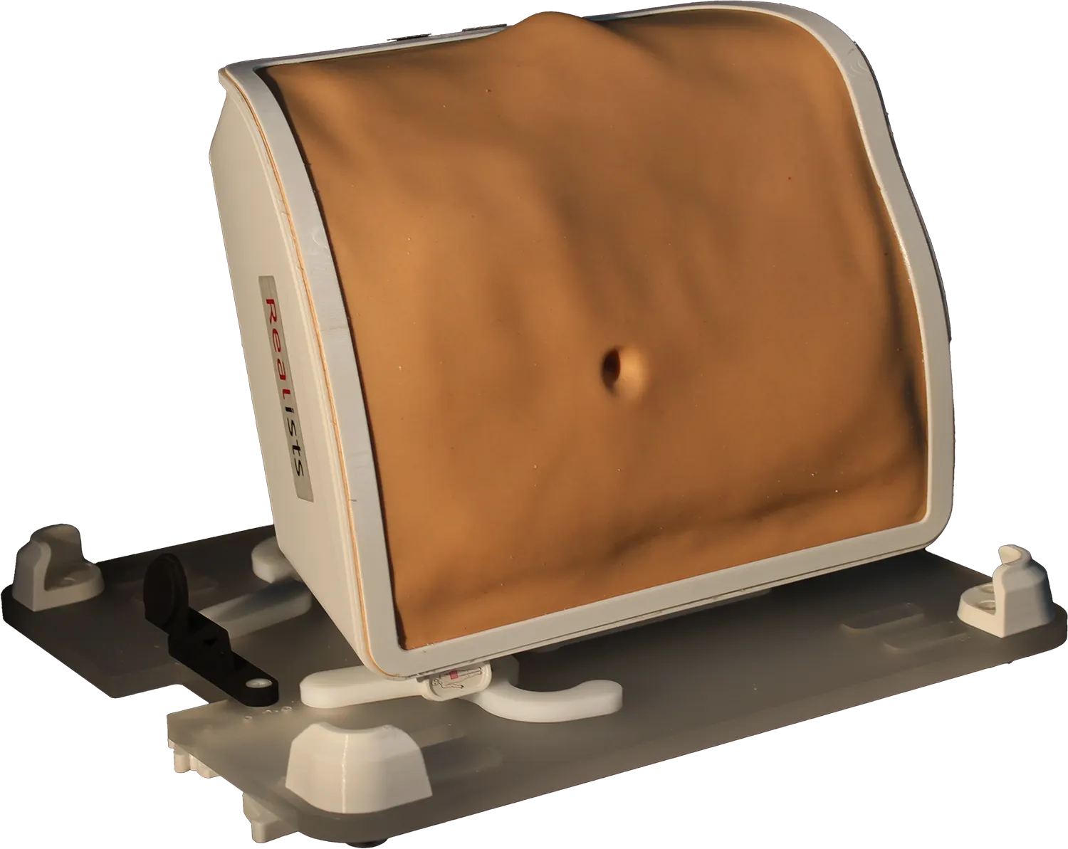 RealSpine Lumbar Anterior Lateral simulator, L3 to S1